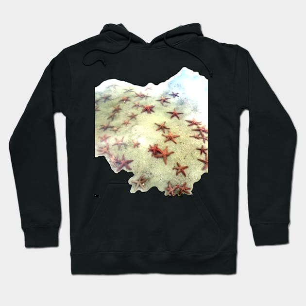 Sea Star Pond Hoodie by MJDiesl